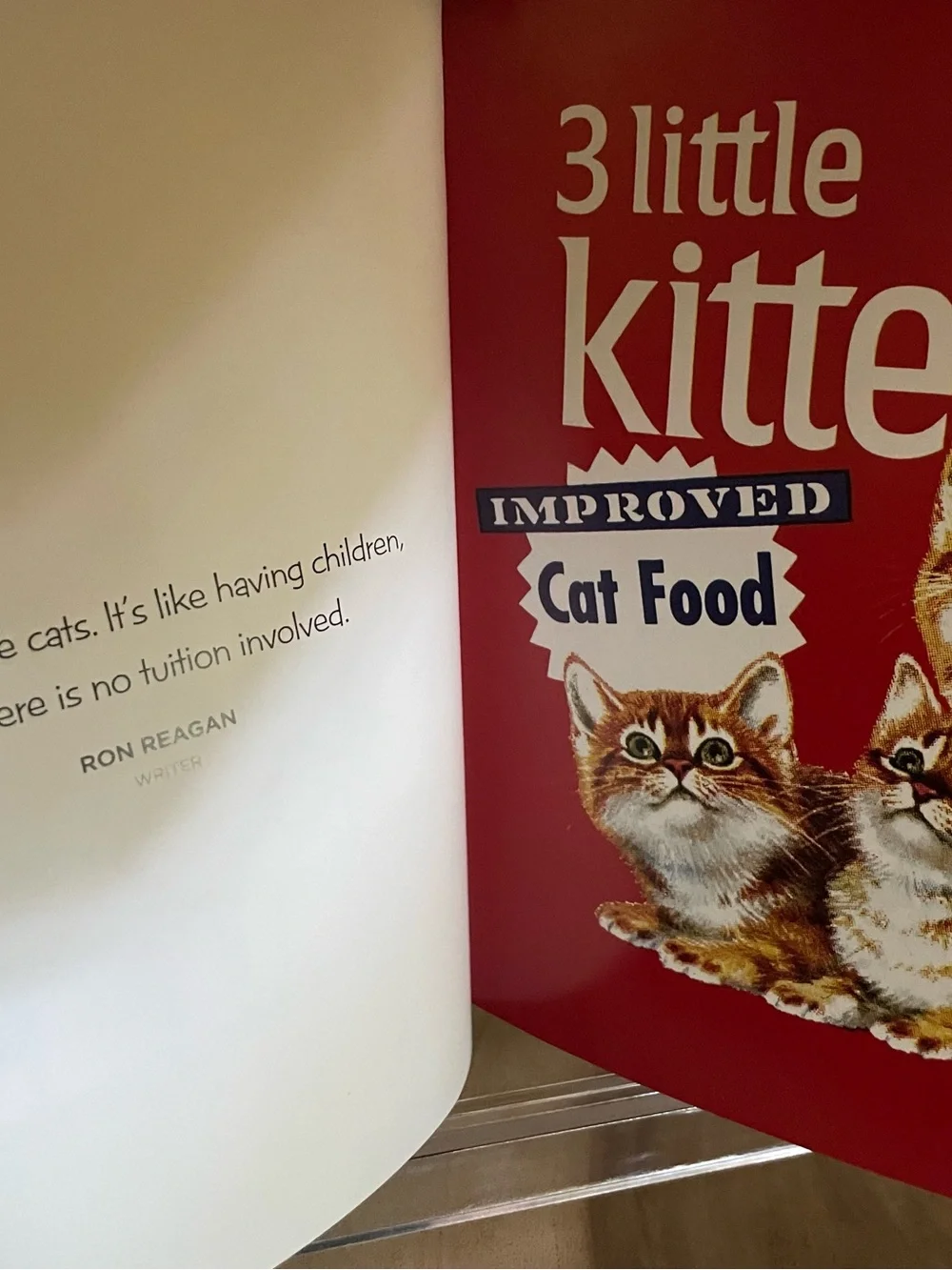 The Cat Lover Bundle